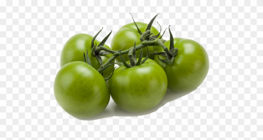 Green Vine Tomatoes - Cherry Tomatoes Clipart #35677