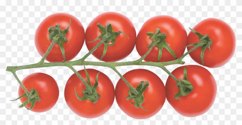 Red Tomatoes Clipart
