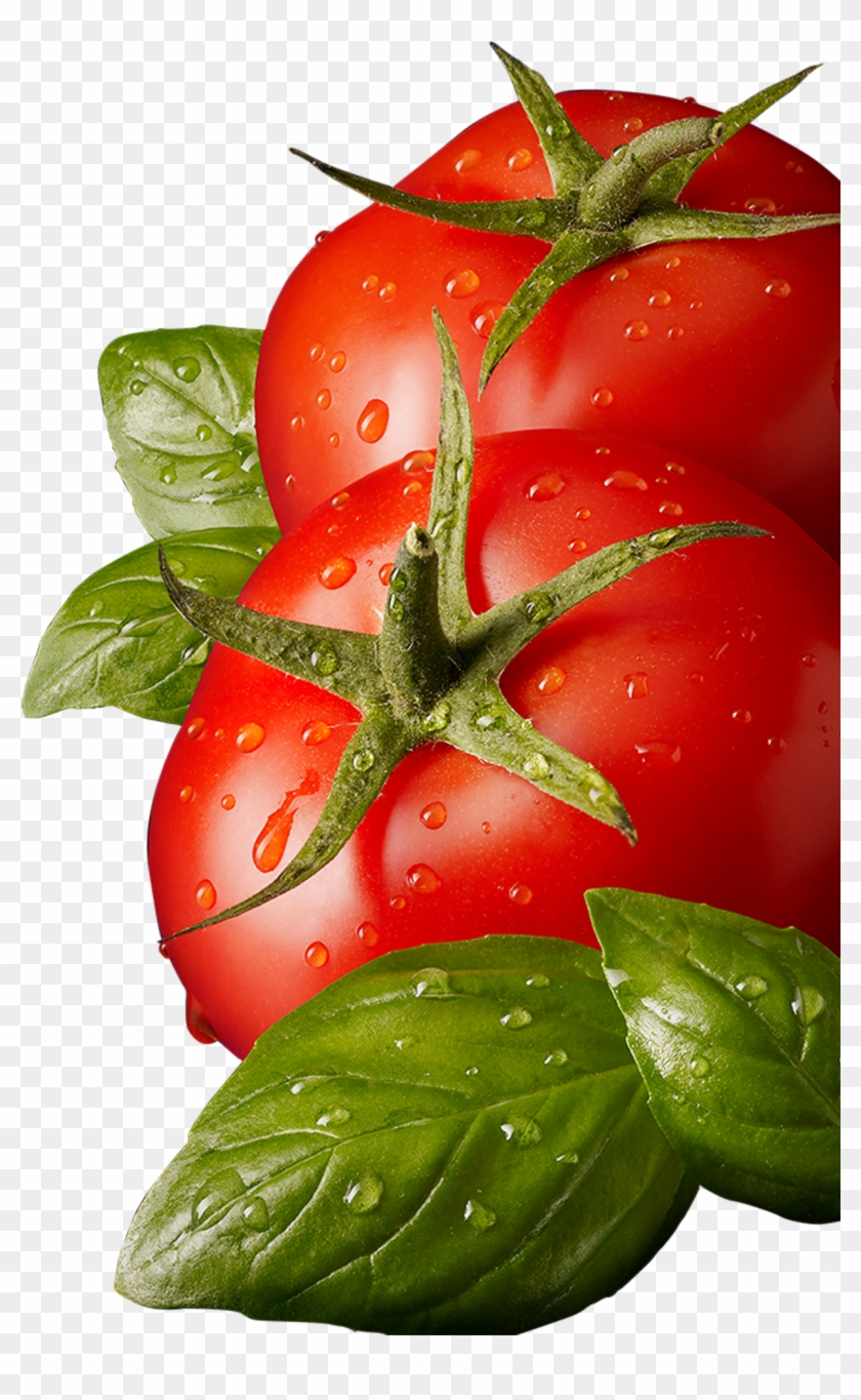 Download - Tomato Leaves Png Clipart #35869