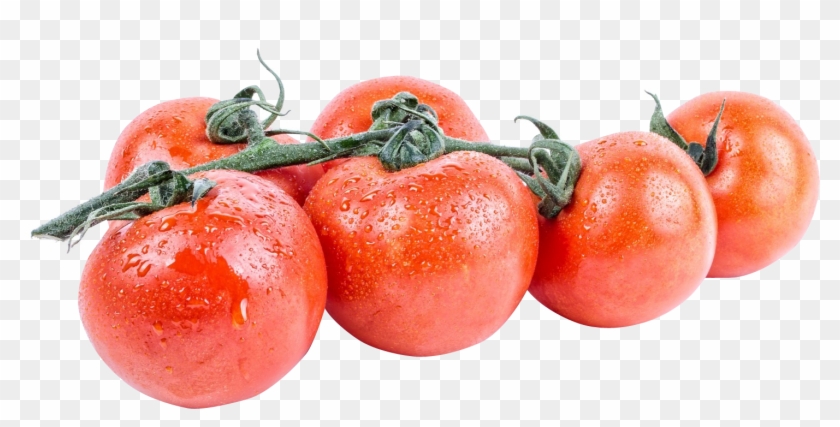 Bush Tomato Clipart #35960