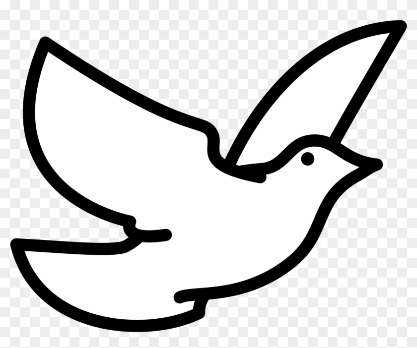 Dove Panda Free Images Ⓒ - White Bird Vector Png Clipart