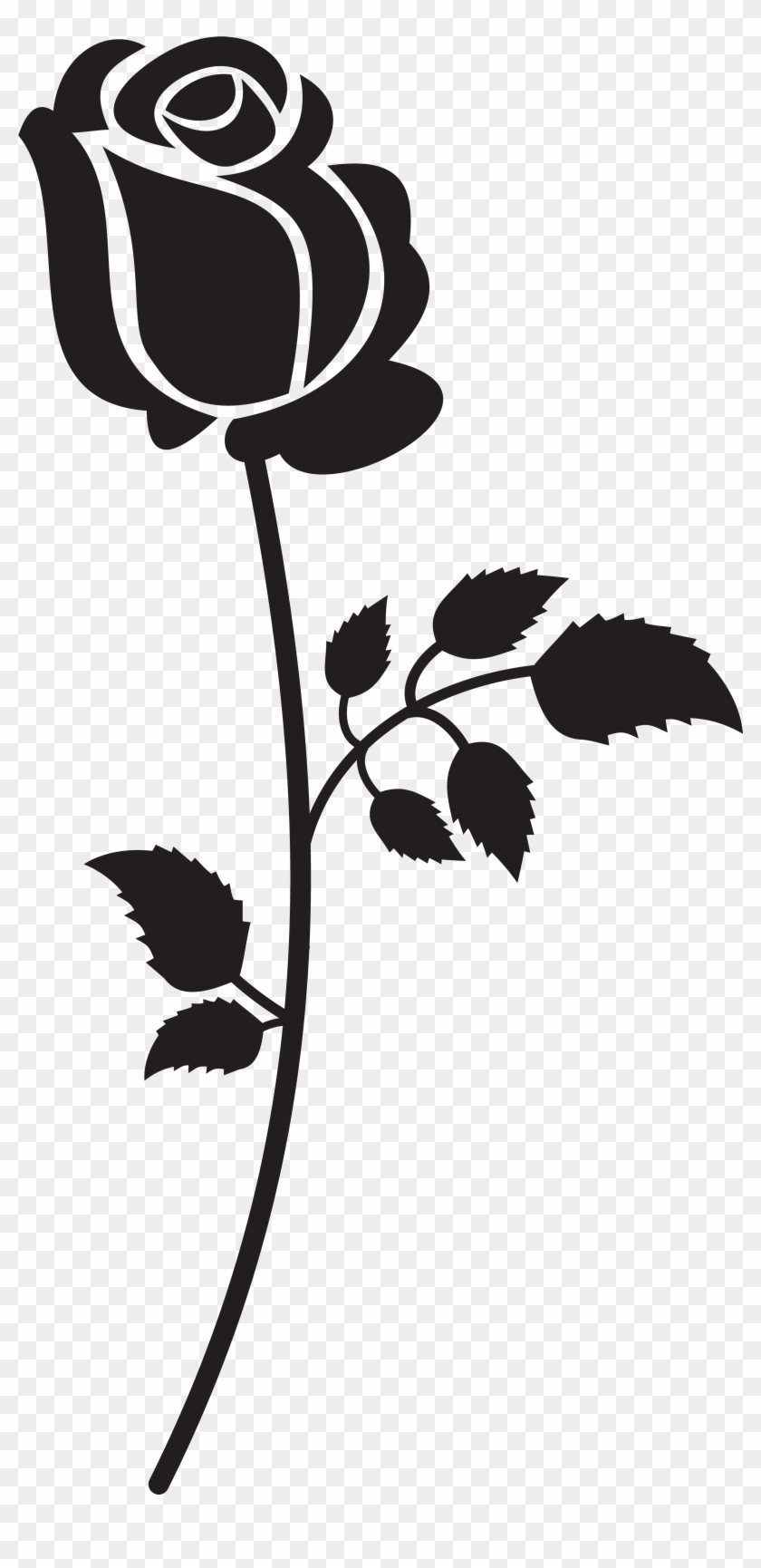 Rose Png Clip Art - Transparent Background Rose Clipart #36453