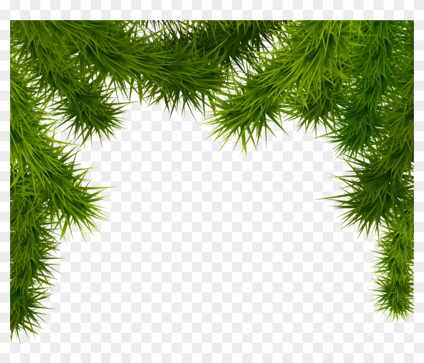 Royalty Free Library Branches Png Image Gallery Yopriceville - Christmas Tree Branch Png Clipart