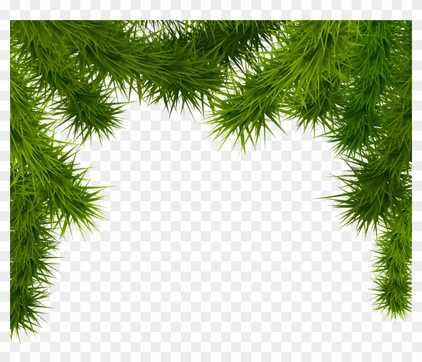 Royalty Free Library Branches Png Image Gallery Yopriceville - Christmas Tree Branch Png Clipart #36575