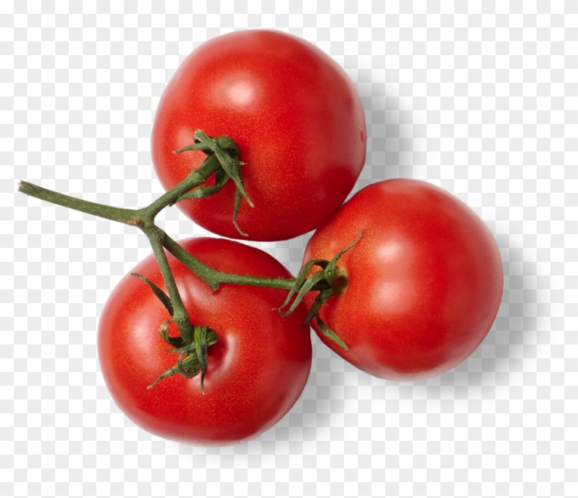 Menu - Plum Tomato Clipart #36658