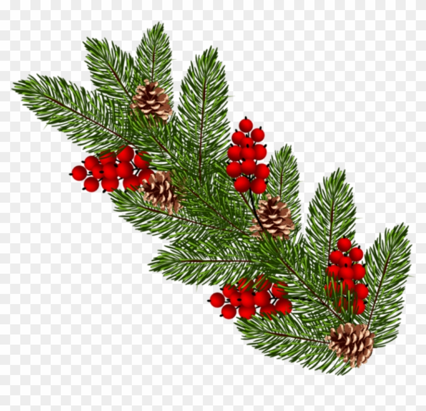Free Png Transparent Christmas Pine Branch Png Png - Christmas Pine Branch Png Clipart