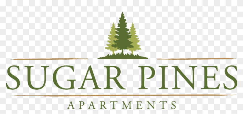 Sugar Pines Apartments In Florissant Mo Property - Pine Tree Logo Png Clipart #36886