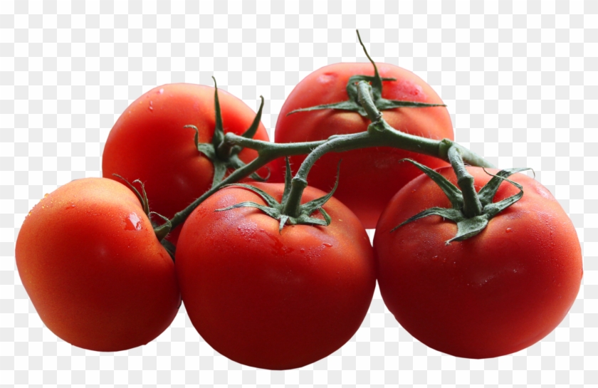 Free Png Download Tomatoes Branch Png Images Background - Transparent Background Tomatoes Png Clipart #37070