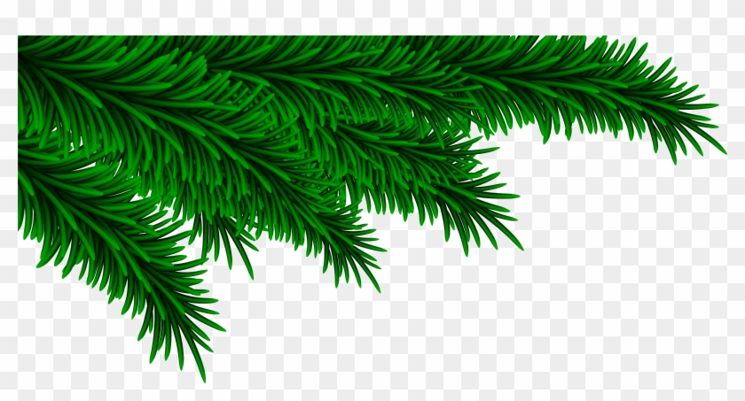 Christmas Pine Branch Png Clipart #37097