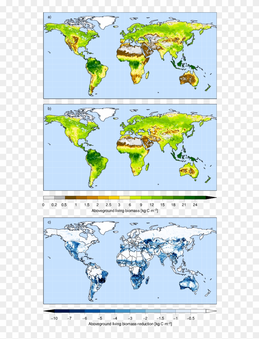 Simulated Biomass C - World Map Clipart