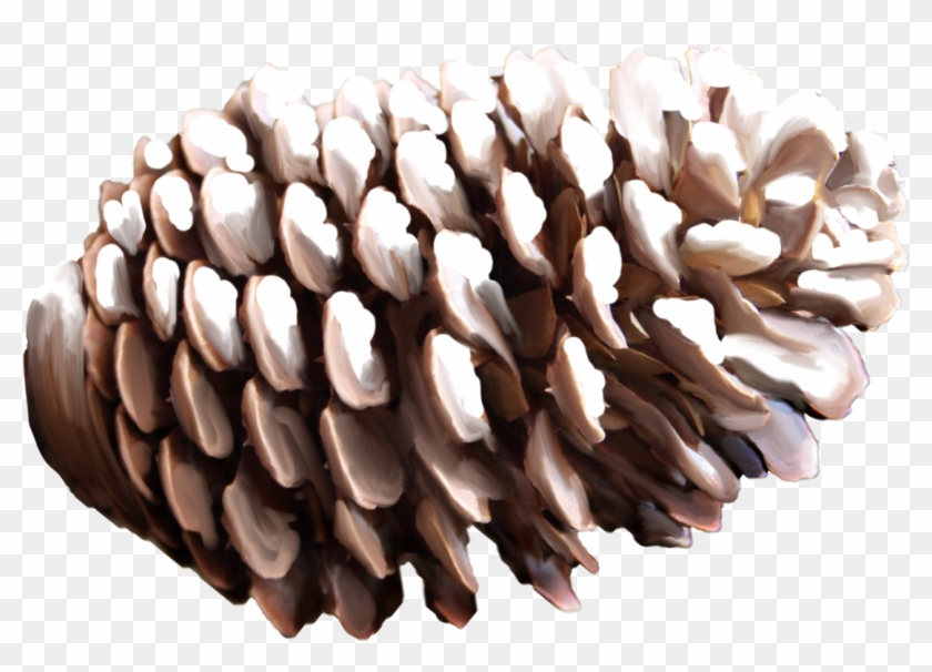 Pinecone Png Transparent Clipart #37298
