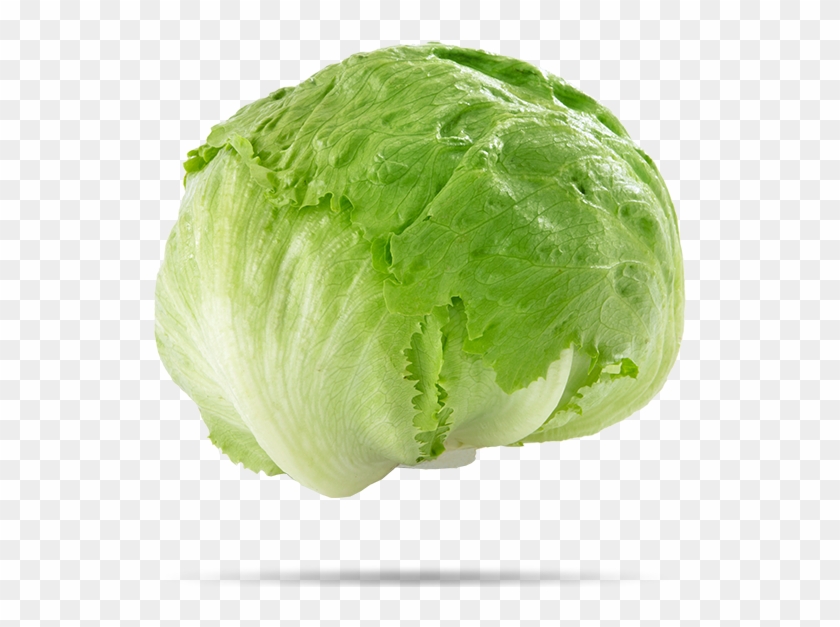 Iceberg Lettuce Png - Lettuce Ice Berg Clipart #37662