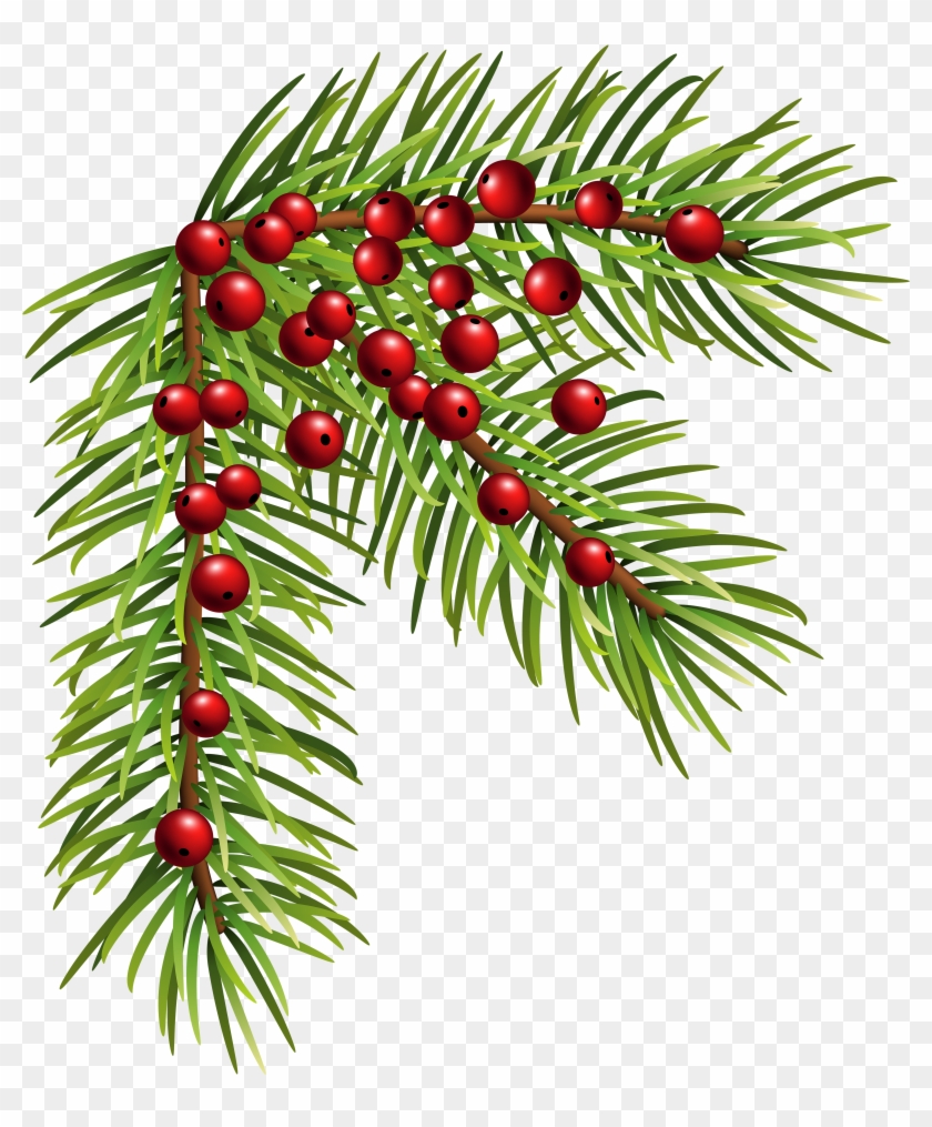 Christmas Pine Corner Png Clip Art Image - Clip Art Pine Christmas Transparent Png #37723