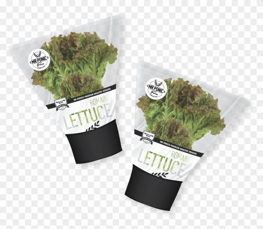 View Larger Image Clipart