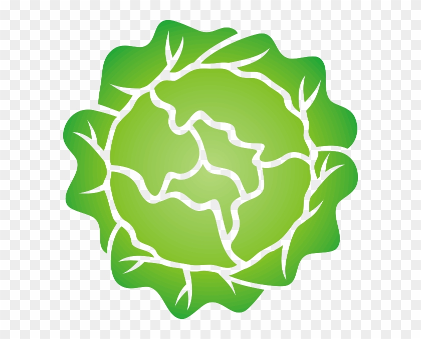 Lettuce Clipart Png - Lettuce Head Clip Art Transparent Png #38040