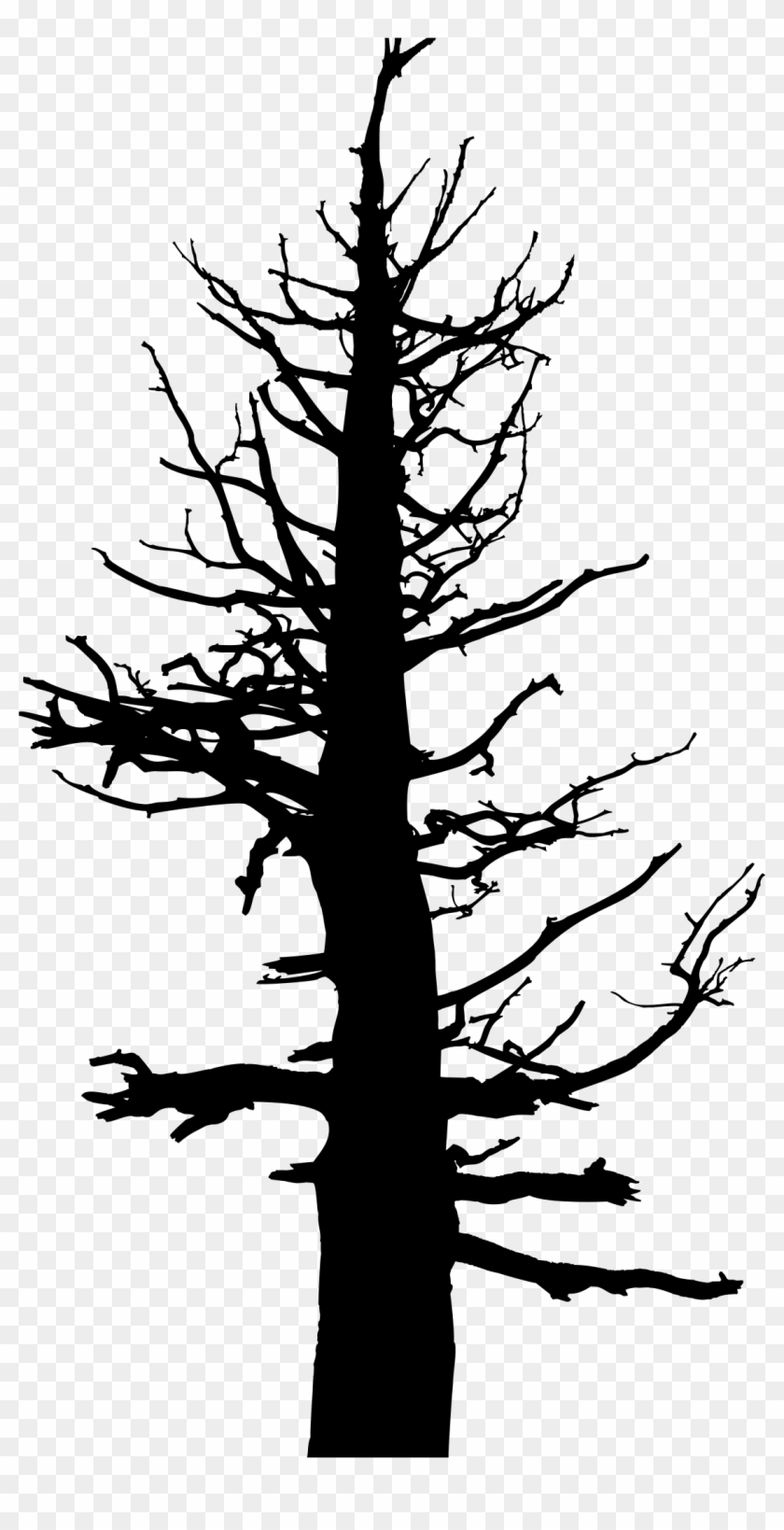 Pine Trees Silhouette Png Clipart