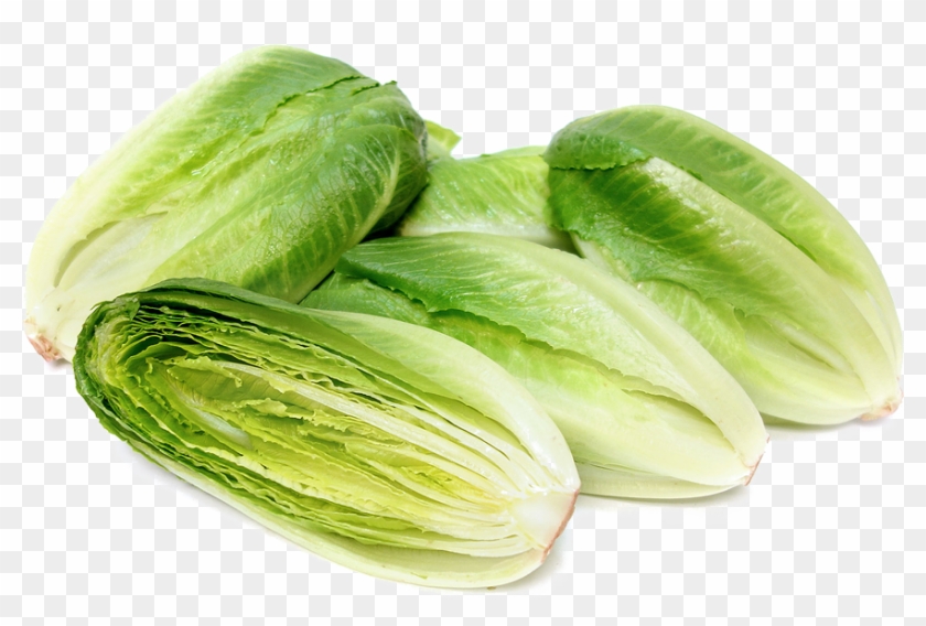 Romaine Lettuce Png Photo - Cos Or Romaine Lettuce Clipart