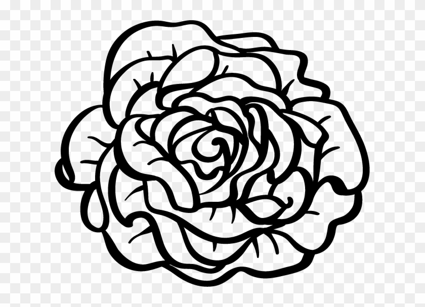 623 X 527 7 - Kopfsalat Clipart - Png Download