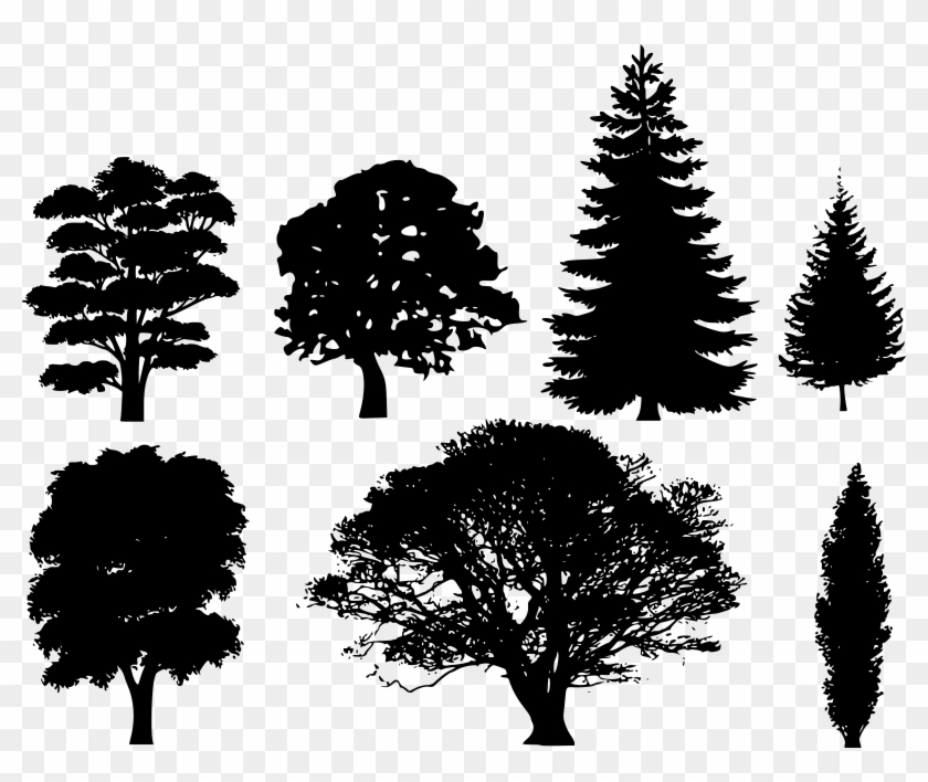 Draw A Tree Silhouette Clipart #38254