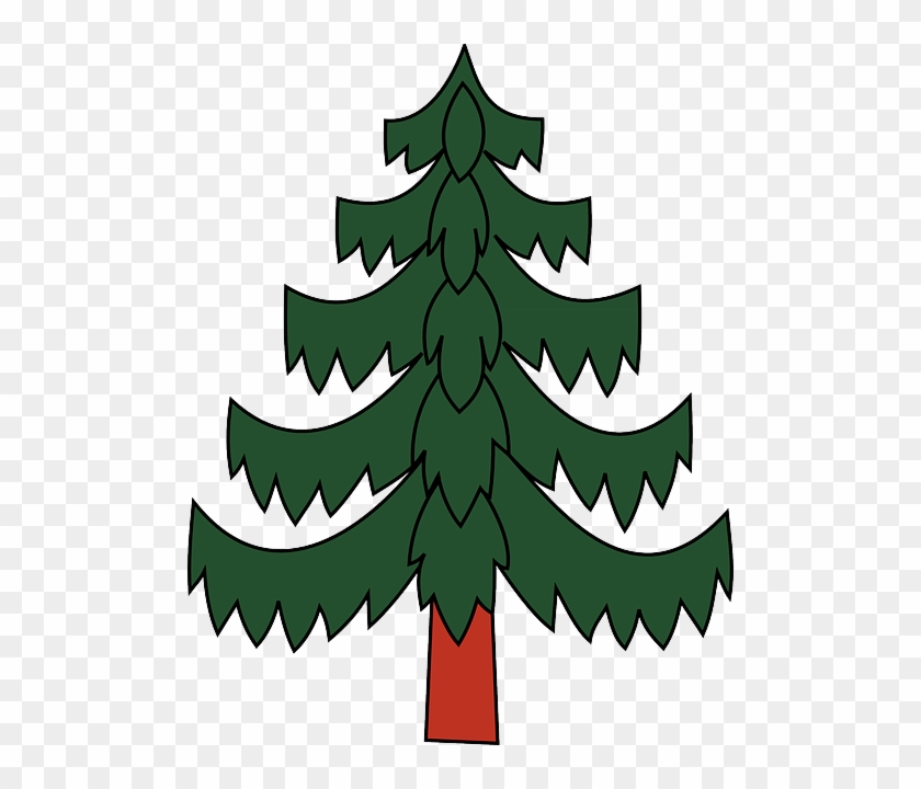 Pine Tree Png - Pine Tree Coat Of Arms Clipart #38394