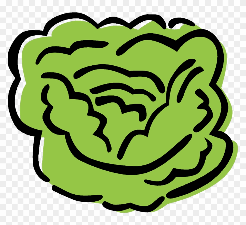 Lettuce Clipart Sliced - Salatkopf Clipart - Png Download