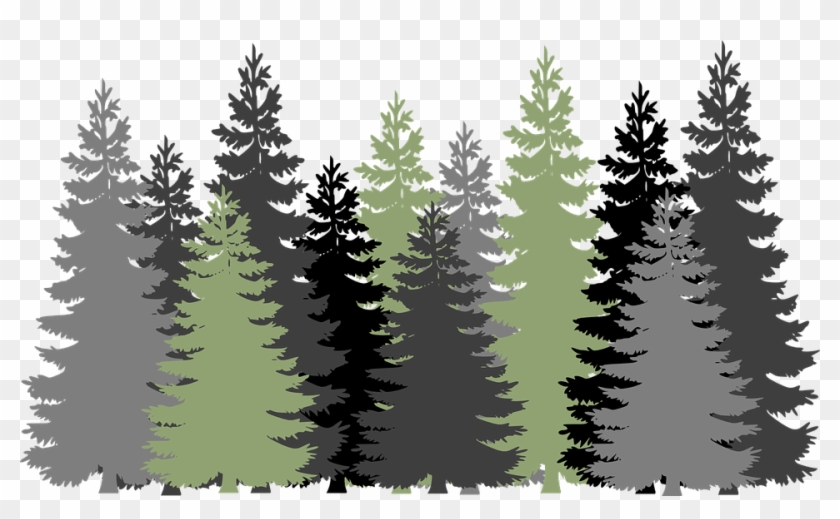 Pine Tree Forest Png - Forest Trees Transparent Background Clipart #38494