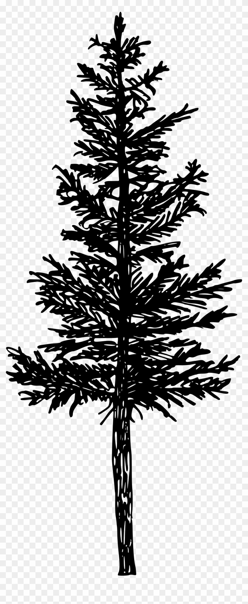 Free Download - Pine Silhouette Transparent Tree Clipart #38724