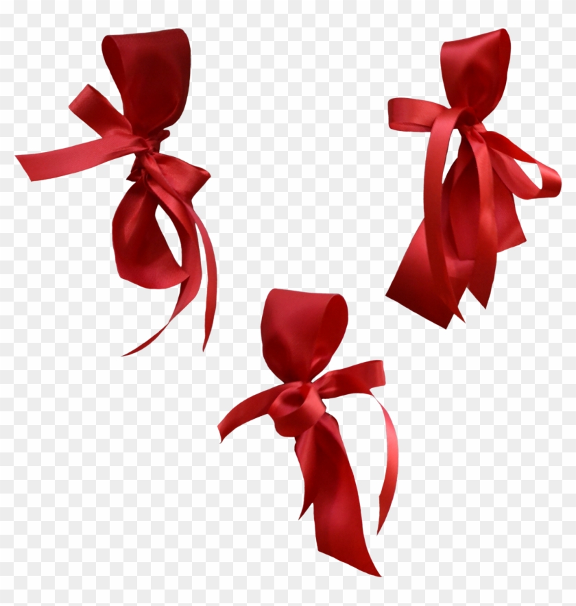 Bow Style Multi Style Png Image - Portable Network Graphics Clipart #38857