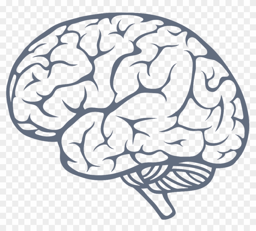 Brain Icon Png Image - Brain Png Clipart