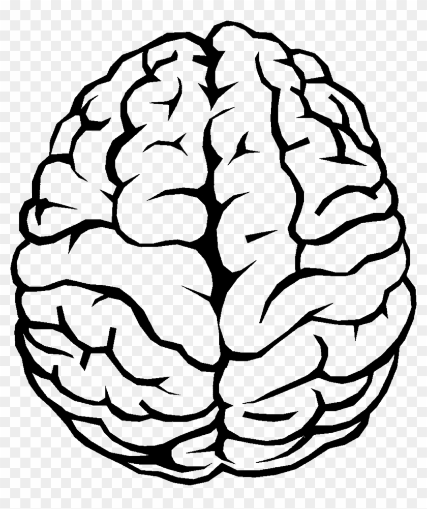 Brain Outline Png Image - Simple Brain Drawing Clipart #38904