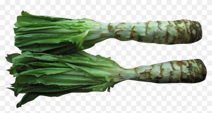 Celtuce Png Clipart #38908