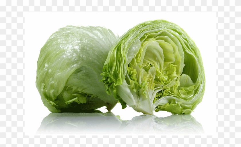 Lettuce - Iceberg Lettuce Clipart