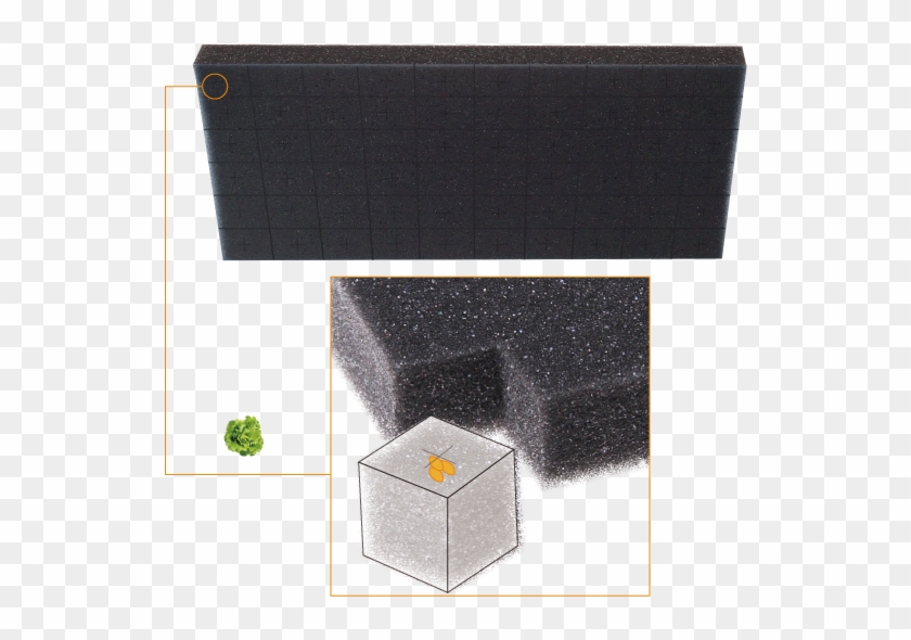 Grow Sponge -green Lettuce - Lettuce Clipart #39276