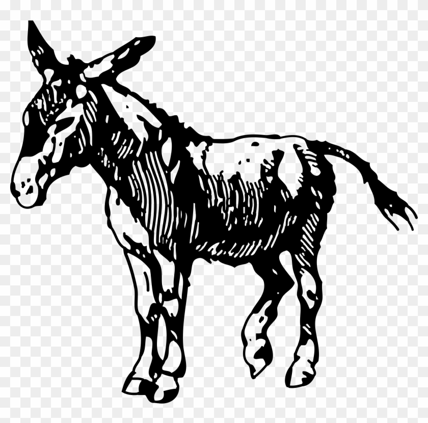 How To Set Use Donkey Svg Vector Clipart #300096