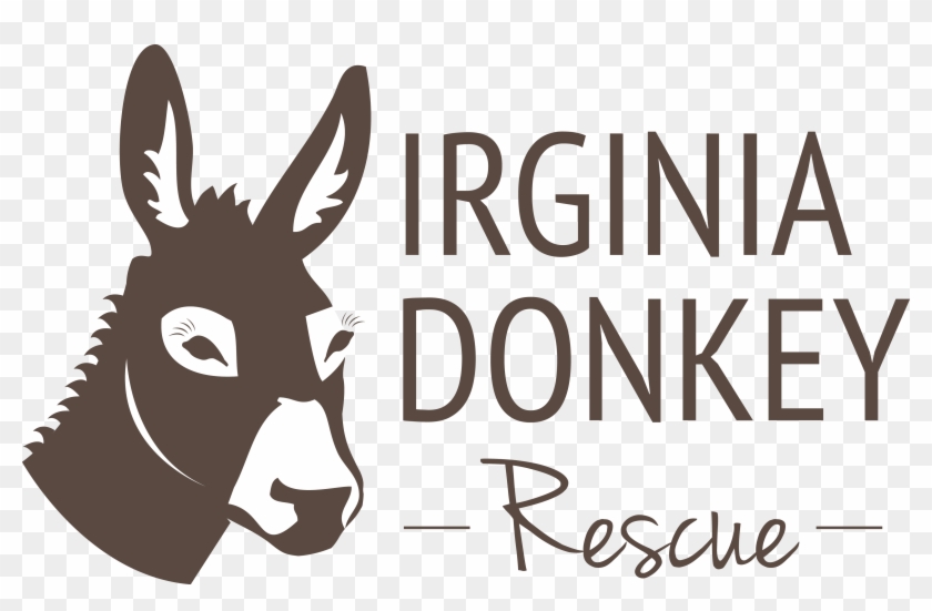 Donkey For Sale In Virginia Beach Clipart #300190