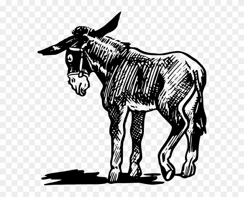 Small - Donkey Clipart - Png Download