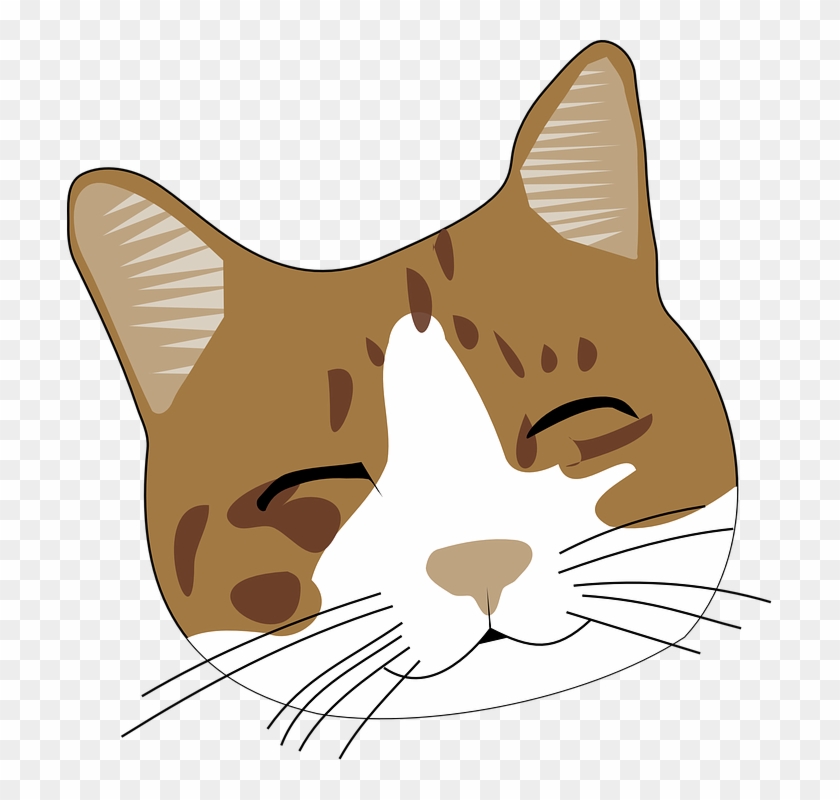 Cute Cat Face Png Clipart