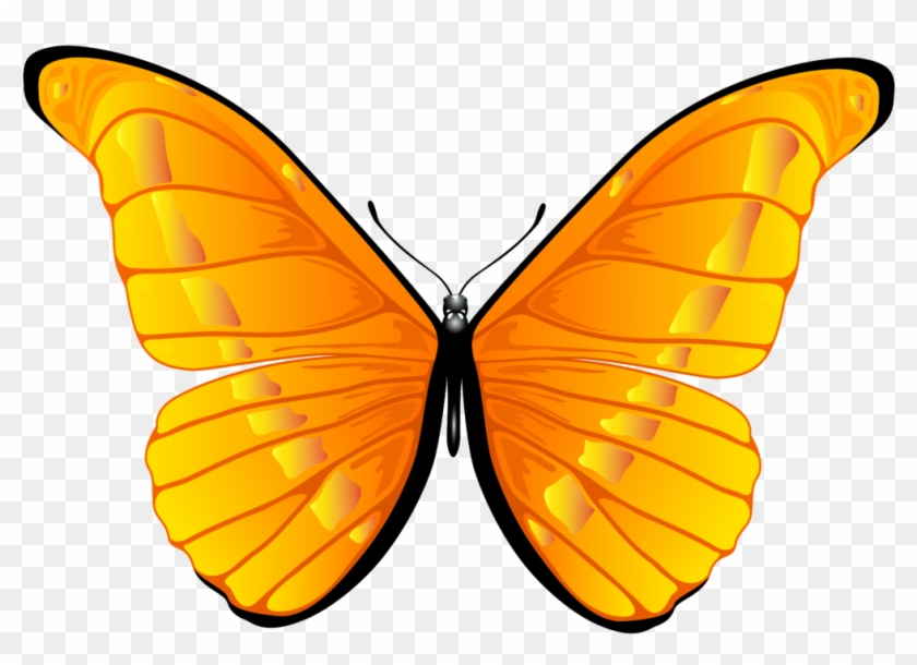 Orange Butterfly Png Clip Art Clipart 7000 4739 Bbq - Orange Butterfly Png Transparent Png