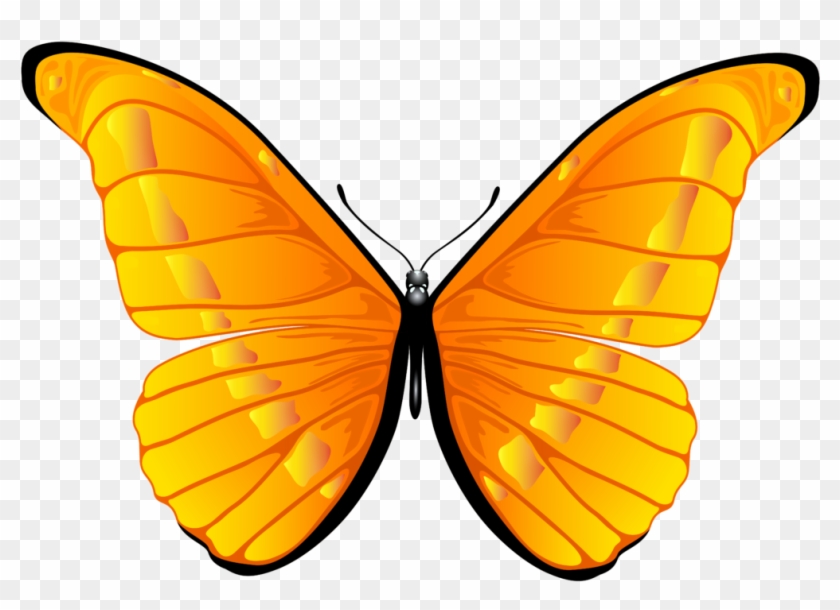Orange Butterfly Png Clip Art Clipart 7000 4739 Bbq - Orange Butterfly Png Transparent Png #301336