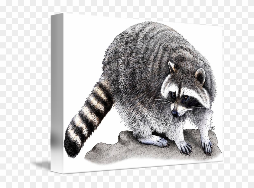 650 X 541 4 - Red Dead Redemption 2 Raccoon Clipart #301645