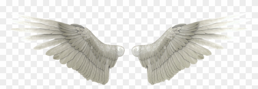 Angel Wings Png Transparent Transparent Background - Transparent Angel Wings Png Clipart