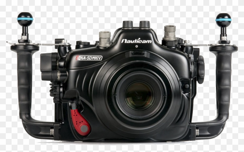 In Addition, The High Iso Performance In Low Light - Canon 5d Mark Iv Underwater Housing Clipart #302080