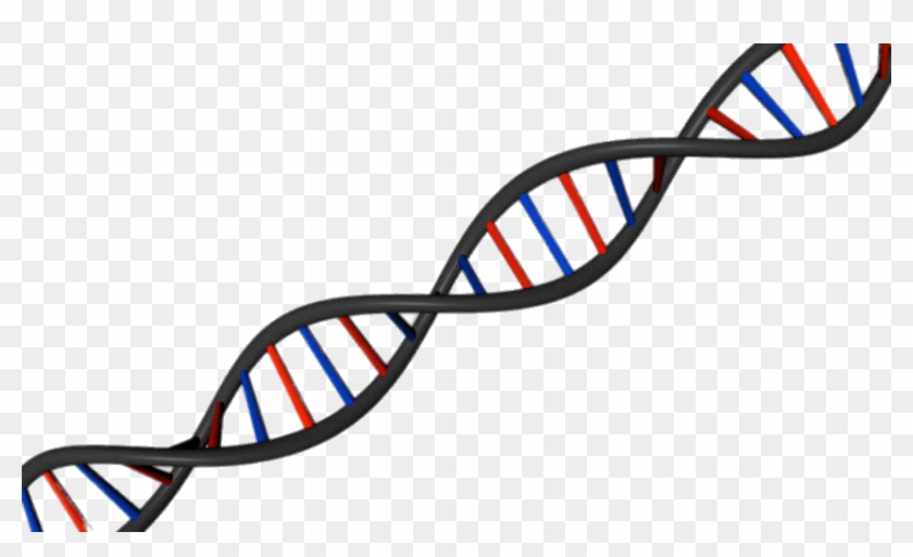 Dna String Diagonal - Dna String Clipart