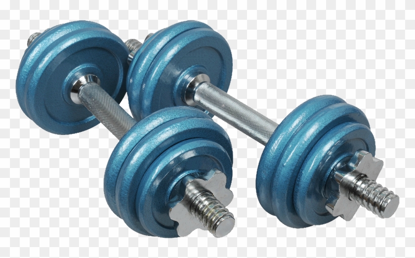 Download - Dumbbell Clipart #302494
