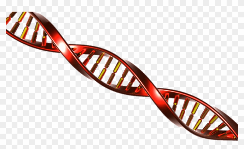 Dna String Red And Yellow - Red Dna Png Clipart #302535