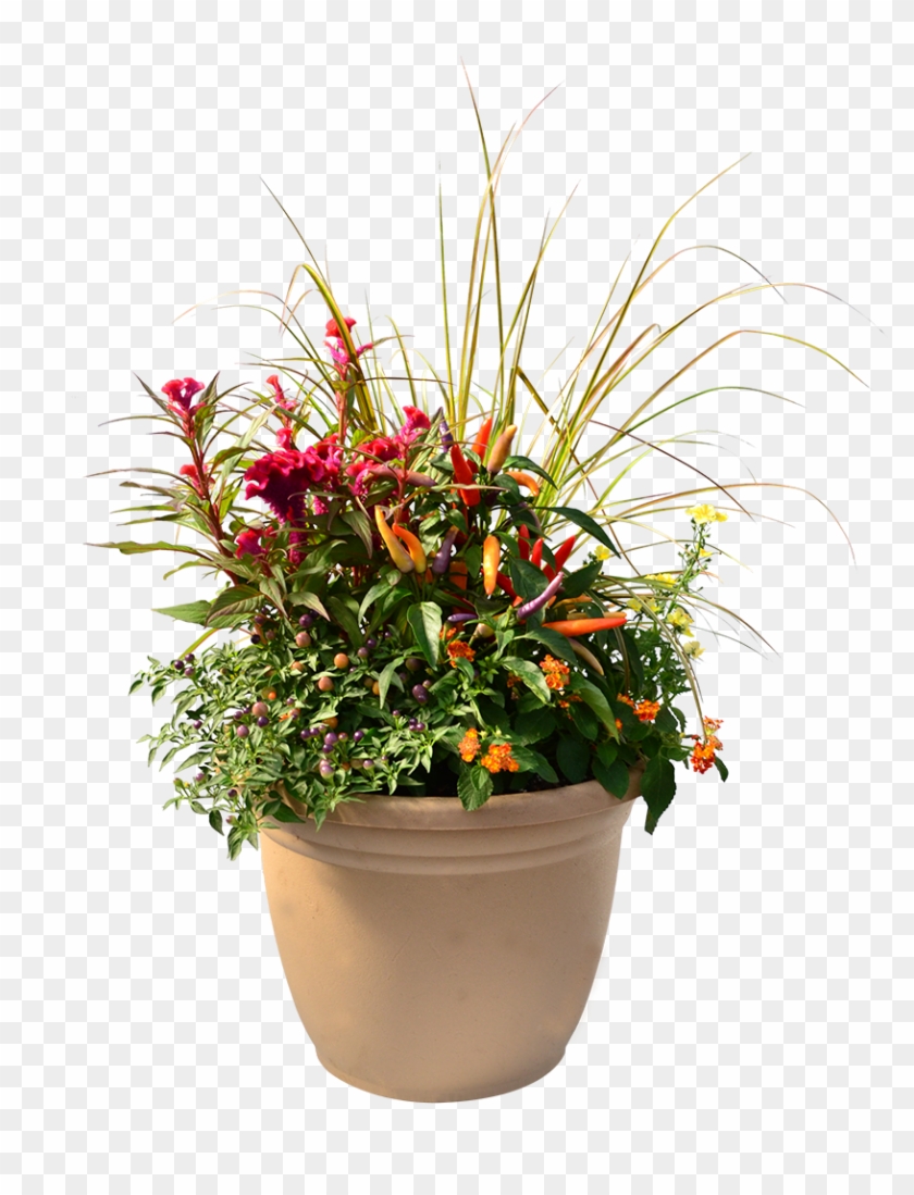 See - Flowerpot Clipart
