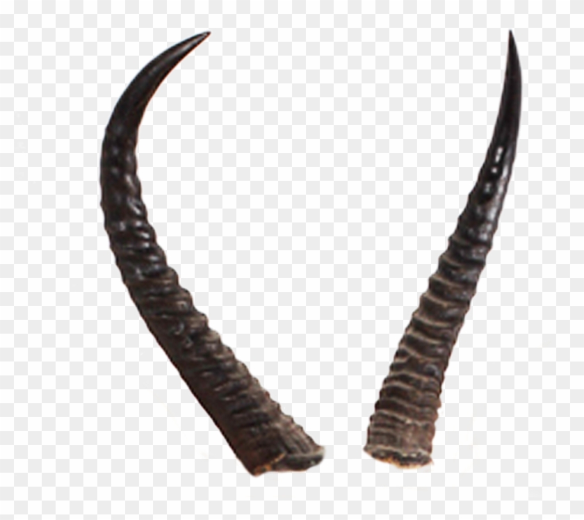 Devil Horns Png Clipart
