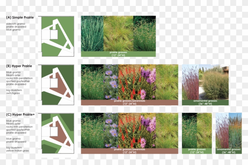 Roofdeckplanting Clipart