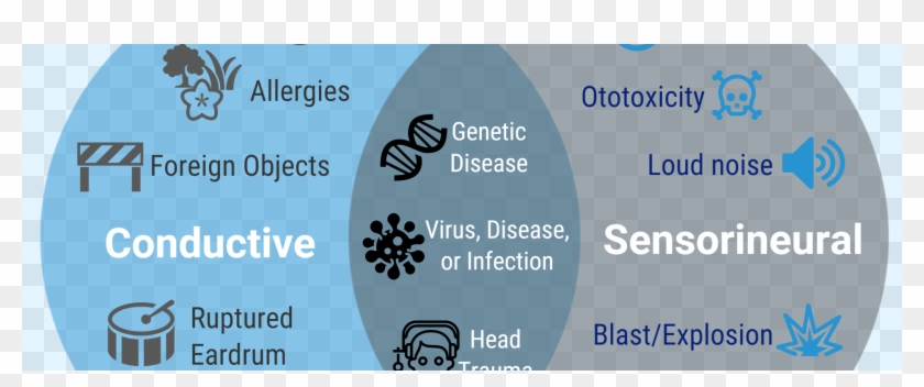 Causes Of Hearing Loss - Graphic Design Clipart