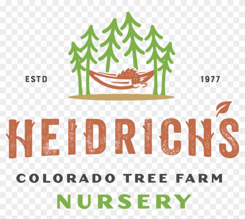 Welcome To Heidrich's Colorado Tree Farm Nursery - Canoe Clipart